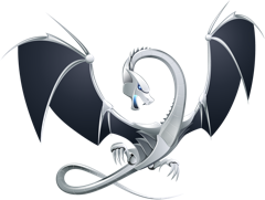 LLVM dragon