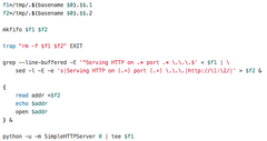 Screenshot of quickserver source code